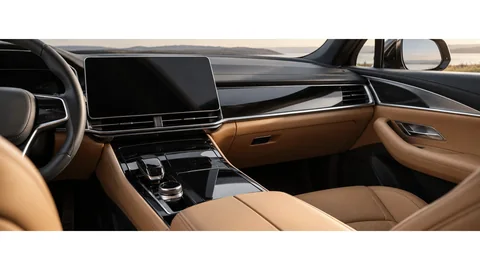 Interior PPF film, catalogue picture